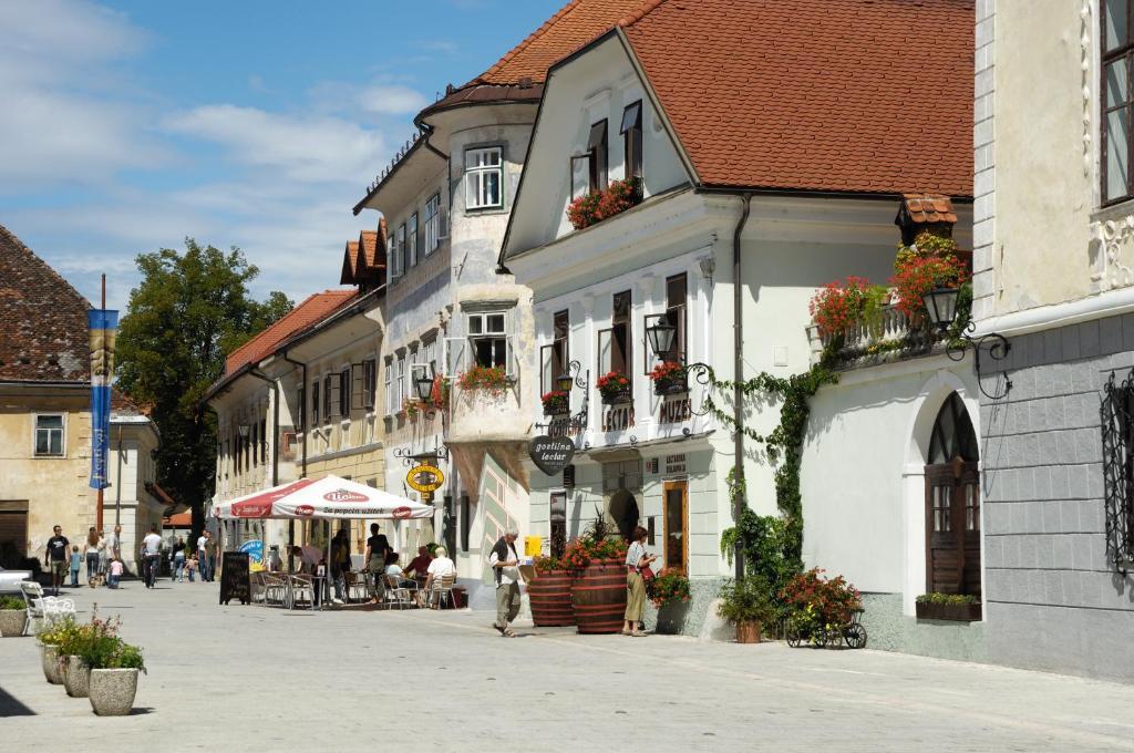 Pension Lectar Radovljica Exteriér fotografie